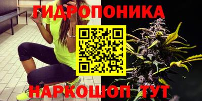 кокс Татарск