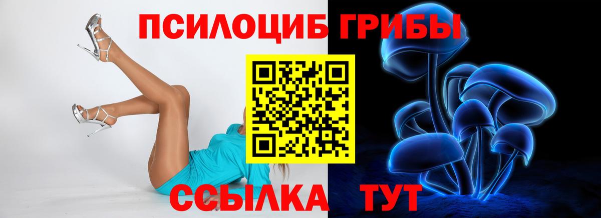Галлюциногенные грибы Psilocybine cubensis Новотроицк